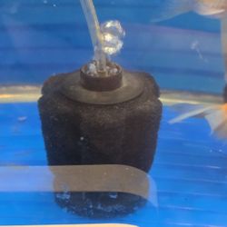 10 Gallon Fish Tank, Filter, Oxygen Pump And More
