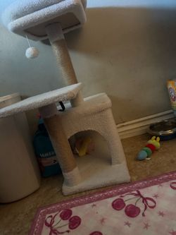 cat tree