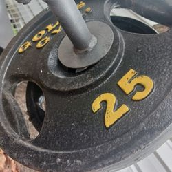 2 Olympic Weight Plates