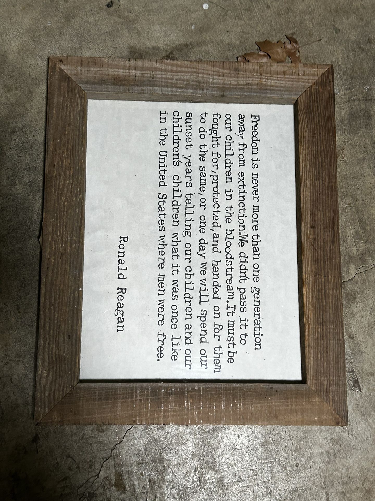 Patriotic Framed Manly Quotes (Reagan)