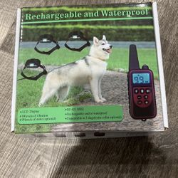 Rechargeable And Waterproof Dog Training Collar
