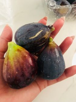 Fresh figs