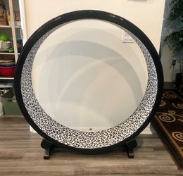 Cat Wheel