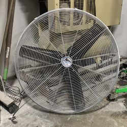 Fan