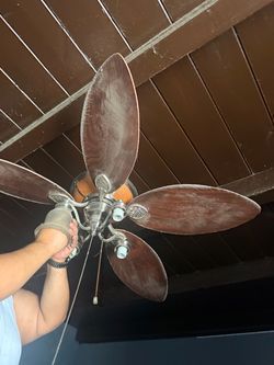 Ceiling fan