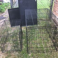 Dog Crates