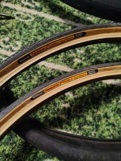 Panaracer Pasela Gumwall Tires 