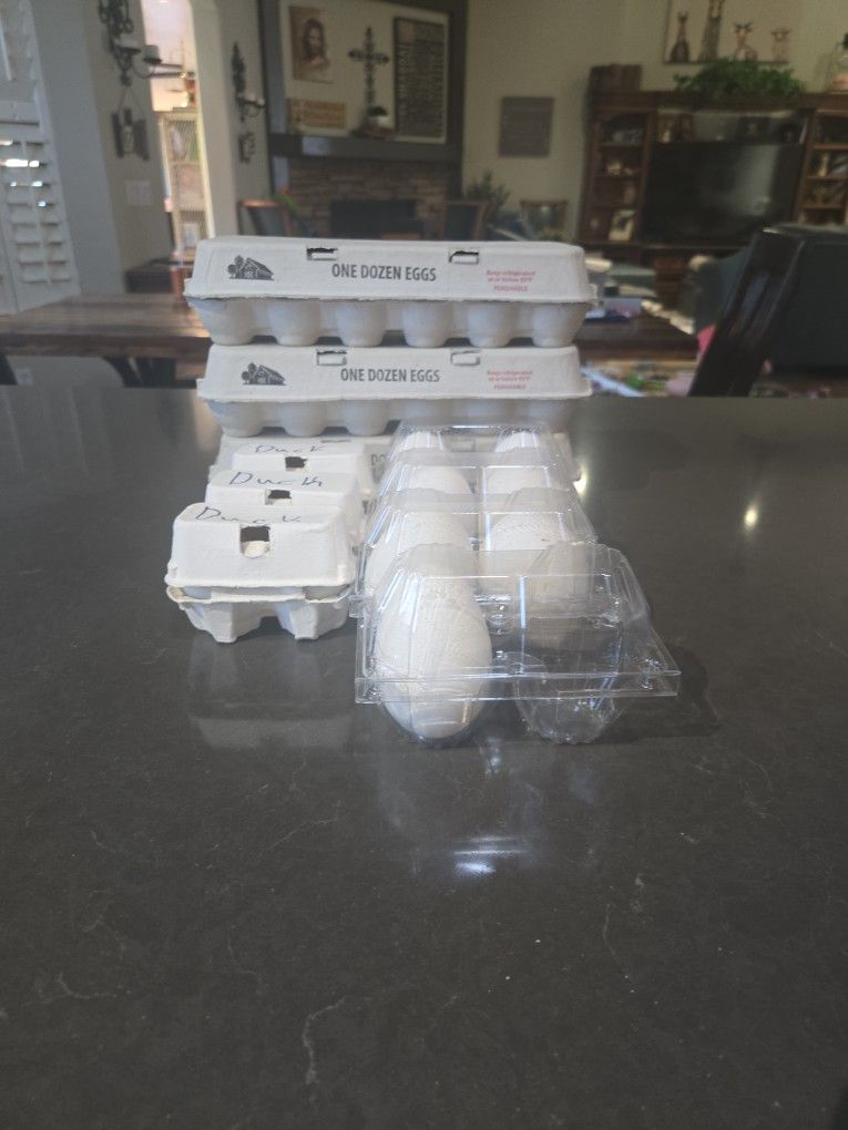 Chicken, Duck, Goose Eggs