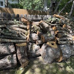 White Oak Firewood Logs