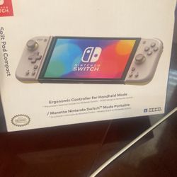 Nintendo Switch Controllers