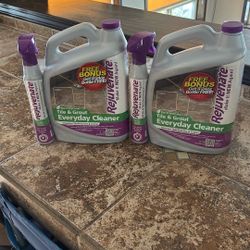 Rejuvenate Tile/ Grout Cleaner 2-1 Gallon Containers, Plus Bonus 24 Oz Spray Bottle