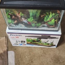 Aquarium 