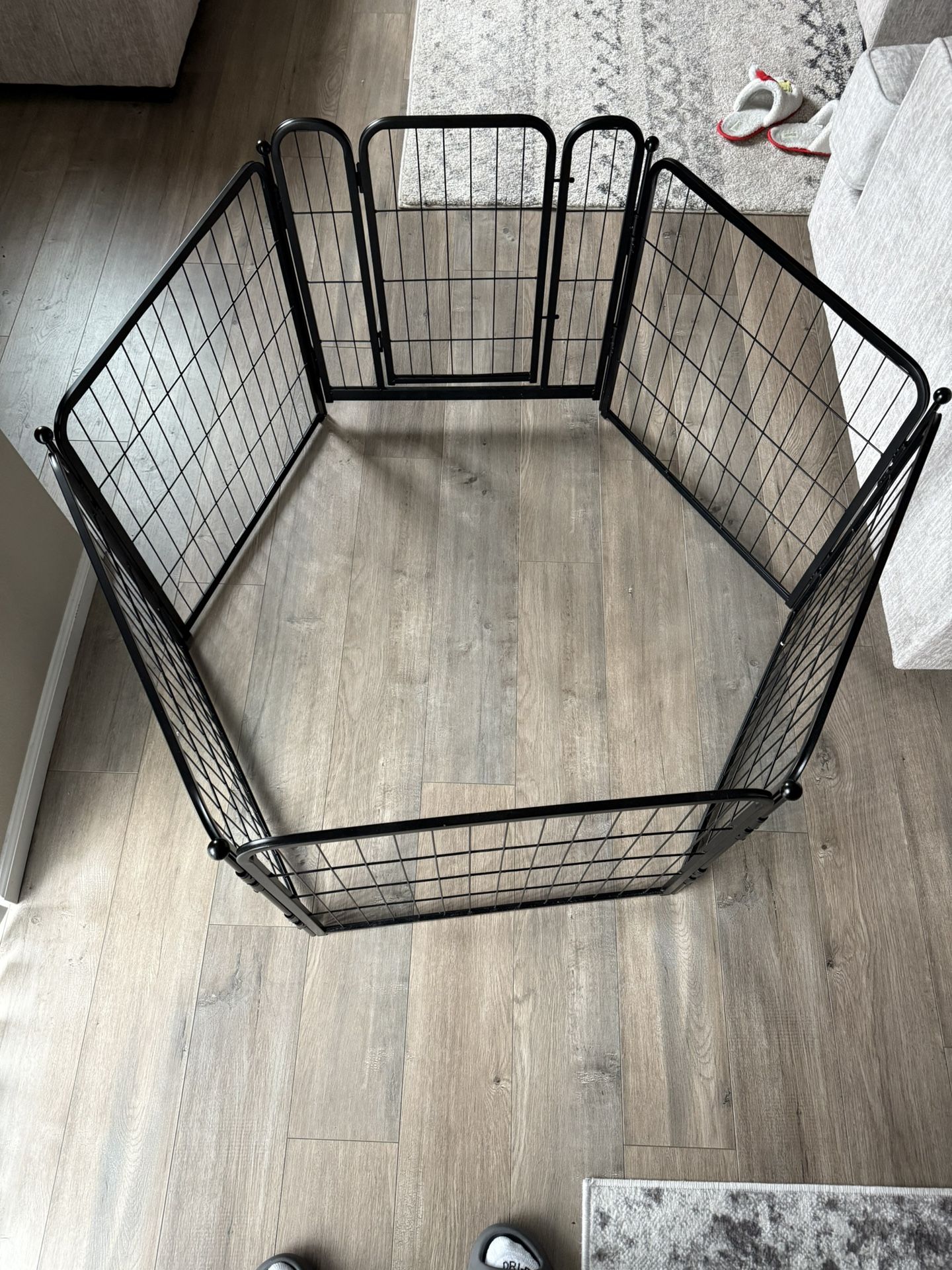 Dog Cage