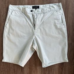 Men’s Shorts Size 34 Light Blue Casual