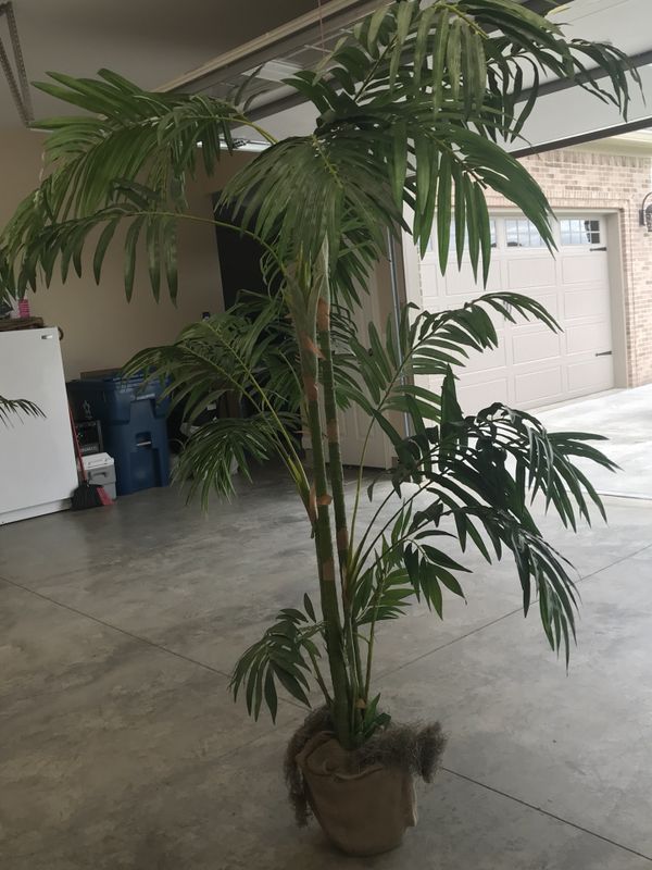 Silk Palm Tree 8ft tall for Sale in Indianapolis, IN OfferUp