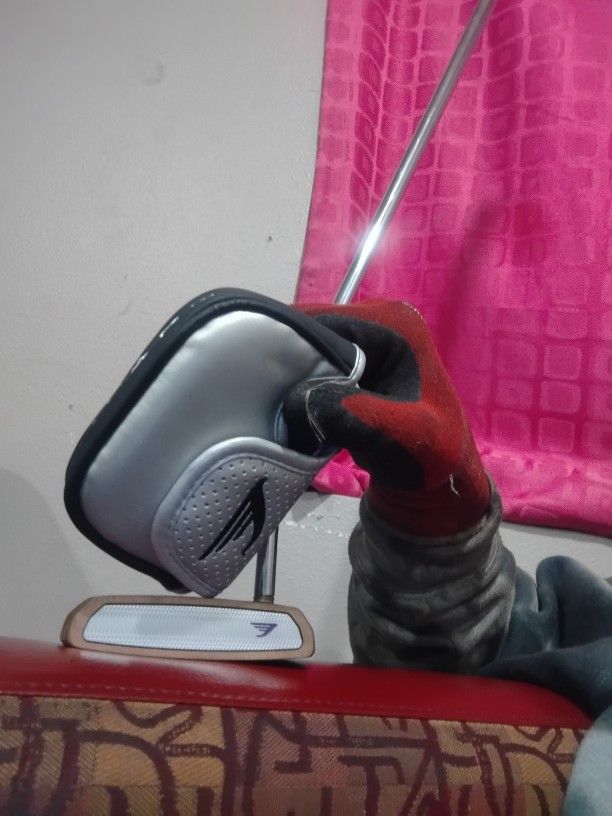 No Pitter Tommy Bauhana