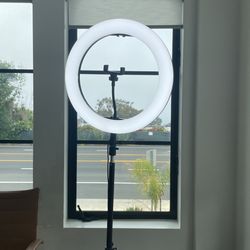 Ring Light, With Stand