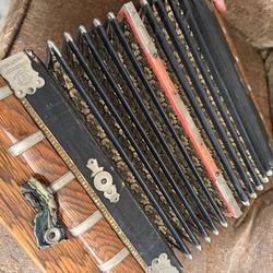 GEBR. LUDWIG ACCORDION Pine Tree STEEL BRONZE Squeeze Box