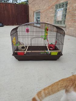 Great Metal Bird Cage 