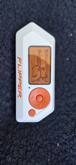 Fully loaded Flipper zero with silicone case