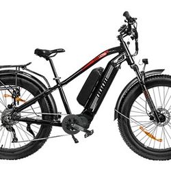 High Performance Electric Bike By Biktrix.  Like new