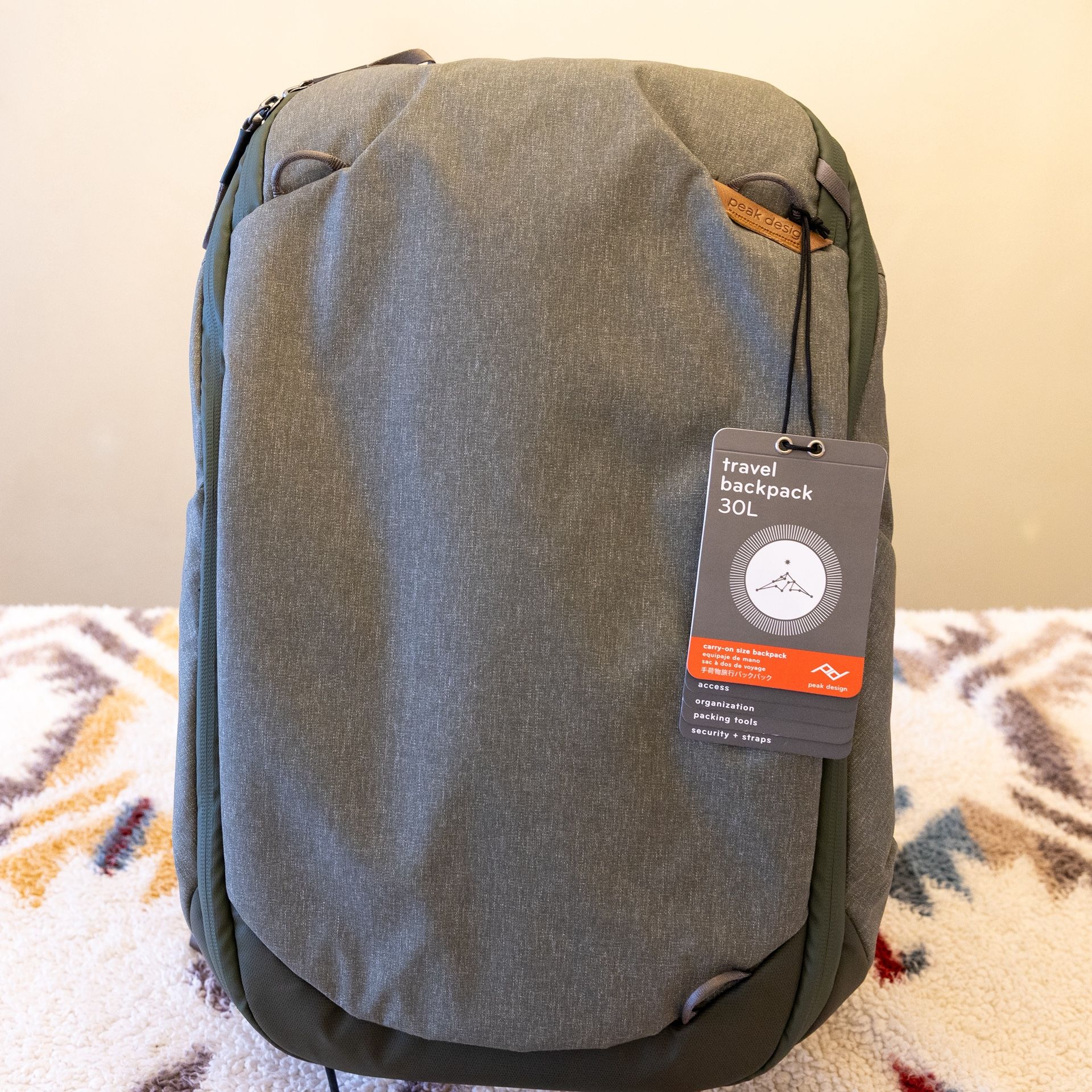 Peak Design 30L Travel Backpack Sage