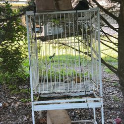 Bird Cage 