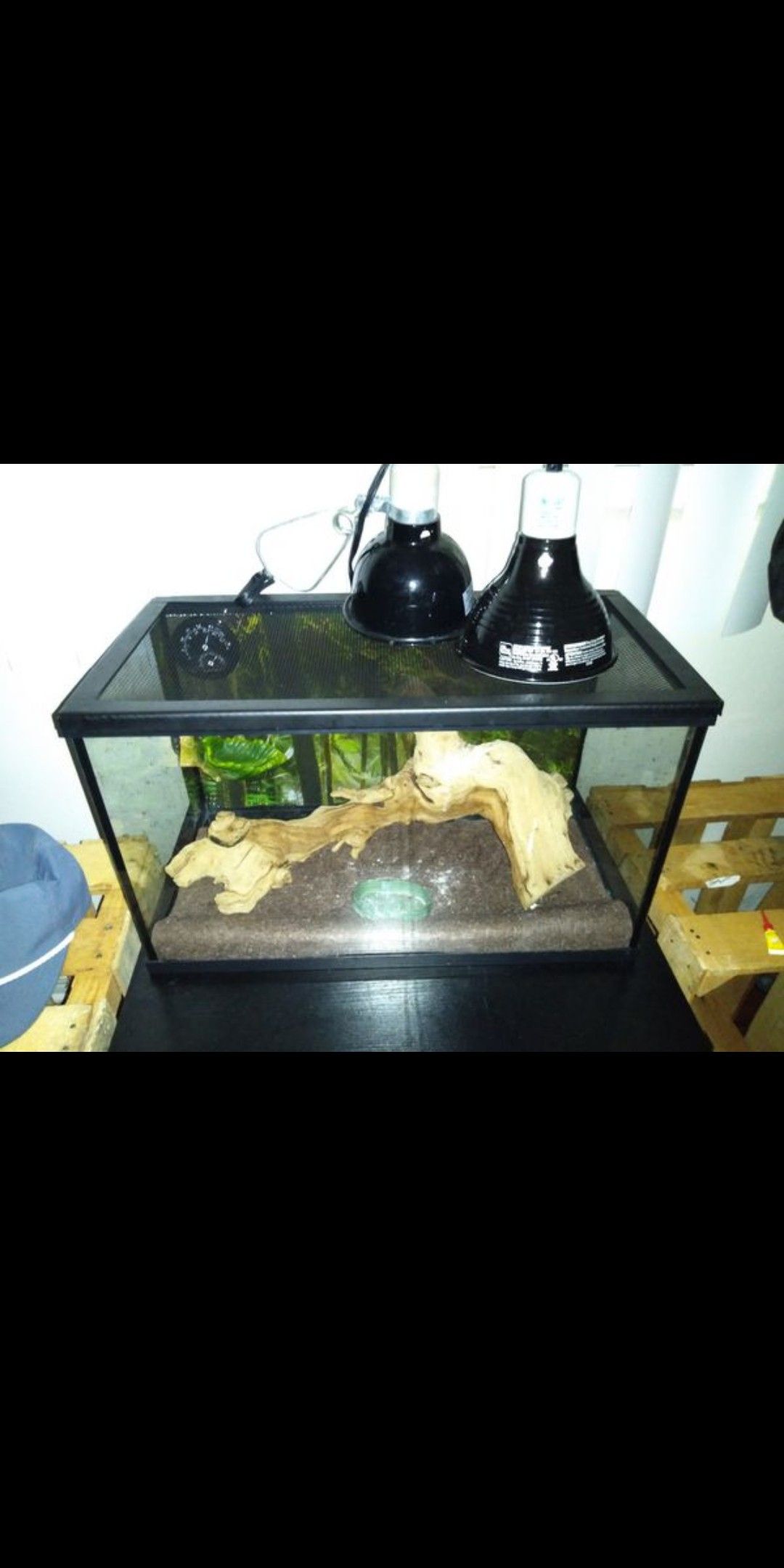 Tank comes with 2 heat lamps