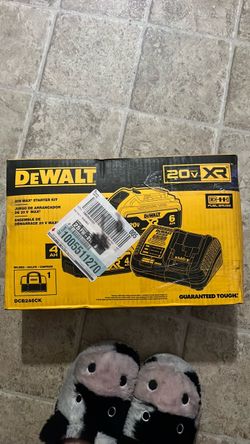 Dewalt 20v MAX Starter Kit