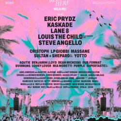 2025 We Belong Here Music Festival Platinum Ticket