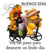 Jiji 