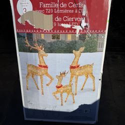 Deers Christmas  decorations 