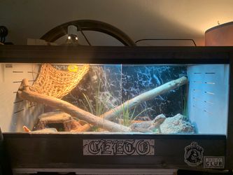Large Reptile Terrarium with Accessories