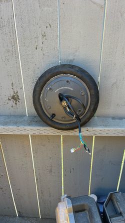 36V Scutter brushless motor