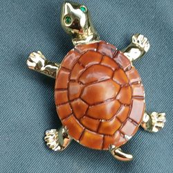 Turtle clip