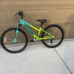 Nishiki Mountain Bike