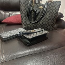 Coach Set
