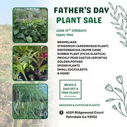 Venta de plantas