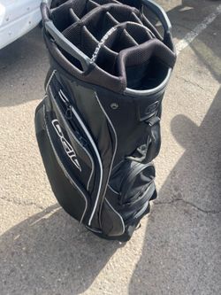 Ogio 14 weight Golf bag