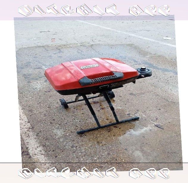will baby Mobile BBQ Grill - Barbecue Anywhere, Anytime with Comfort
