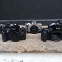 Canon Film Camera Body Lot 