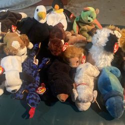 Beanie Baby Collection 