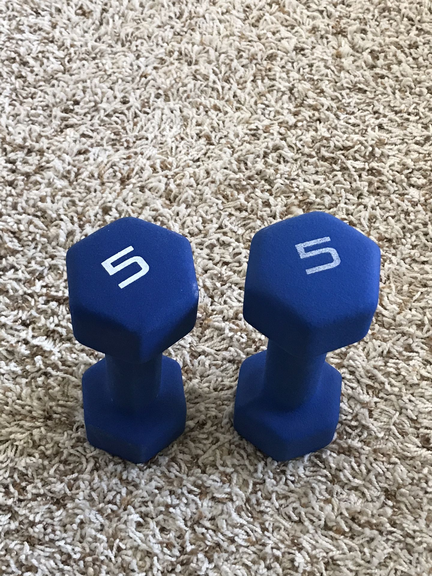 Two 5 pound Dumbbells