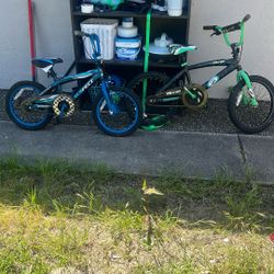 Bikes Both 