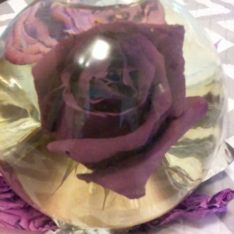 rose water globe offerup