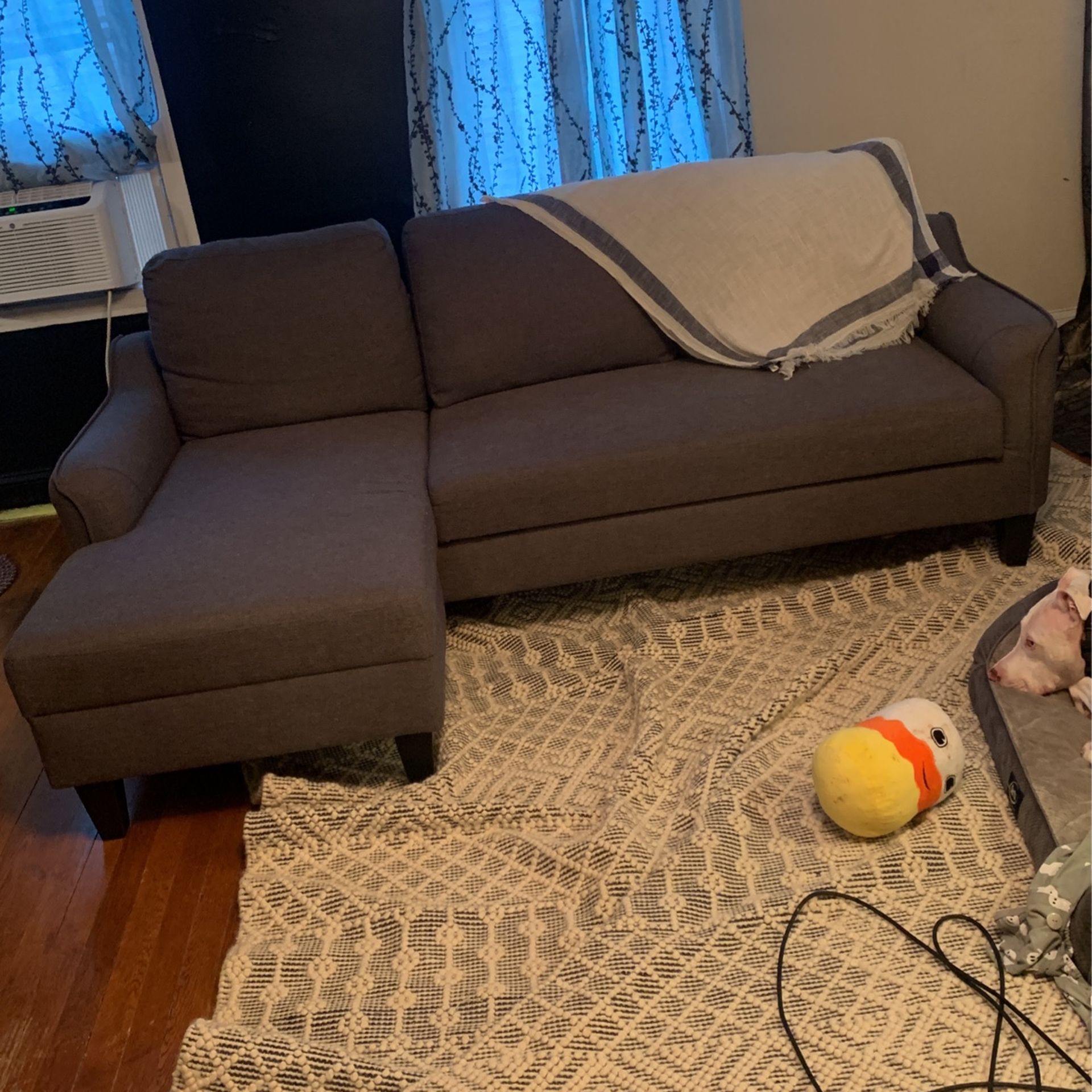SMALL SECTIONAL W/pull Out Sofa