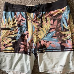 Patagonia Shorts Men
