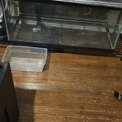 40 Gallon Breeder Tank With Lid