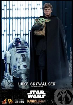 Hot Toys 1/6 The Mandalorian Luke Skywalker Jedi Knight with Grogu Set! DX22!