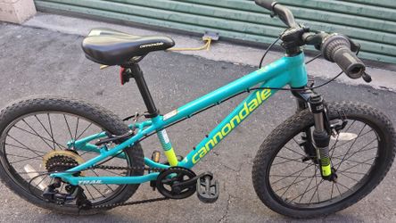 Cannondale Kids Trail 20 mountain bike.  Retail $400